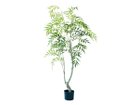 【ブラウン/BROWN / GOODS】のChinese Mahonia Pot / マホニア コンフューサ ポット 150 -|ID: prp329100004641765 ipo3291000000033475797