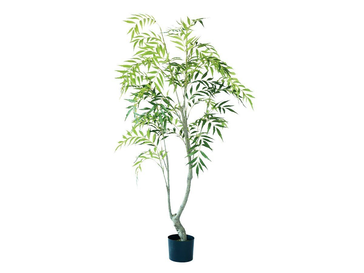 【ブラウン/BROWN / GOODS】のChinese Mahonia Pot / マホニア コンフューサ ポット 150 インテリア・キッズ・メンズ・レディースファッション・服の通販 founy(ファニー) 　送料無料　Free Shipping　おすすめ　Recommended / Our Picks　ホーム・キャンプ・アウトドア・お取り寄せ　Home Living / Home & Lifestyle / Camping Gear / Outdoor Camping　家具・インテリア　Home Furniture & Interior. Stylish & Functional Living Spaces　その他 インテリア雑貨、家具　Home Decor & Furniture Extras　-|ID: prp329100004641765 ipo3291000000033475797