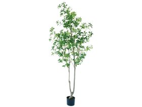 【ブラウン/BROWN / GOODS】のJapanese Andromeda Pot / アセビ ポット 210 人気、トレンドファッション・服の通販 founy(ファニー) 送料無料 Free Shipping おすすめ Recommended / Our Picks ホーム・キャンプ・アウトドア・お取り寄せ Home Living / Home & Lifestyle / Camping Gear / Outdoor Camping 家具・インテリア Home Furniture & Interior. Stylish & Functional Living Spaces その他 インテリア雑貨、家具 Home Decor & Furniture Extras |ID:prp329100004641767