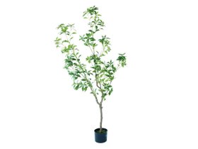 【ブラウン/BROWN / GOODS】 Japanese Andromeda Pot / アセビ ポット 150人気、トレンドファッション・服の通販 founy(ファニー) 送料無料 Free Shipping おすすめ Recommended / Our Picks ホーム・キャンプ・アウトドア・お取り寄せ Home Living / Home & Lifestyle / Camping Gear / Outdoor Camping 家具・インテリア Home Furniture & Interior. Stylish & Functional Living Spaces その他 インテリア雑貨、家具 Home Decor & Furniture Extras |ID:prp329100004641768