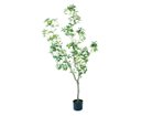 【その他のブランド/Other】のJapanese Andromeda Pot / アセビ ポット 150 -|ID: prp329100004641768 ipo3291000000033475811