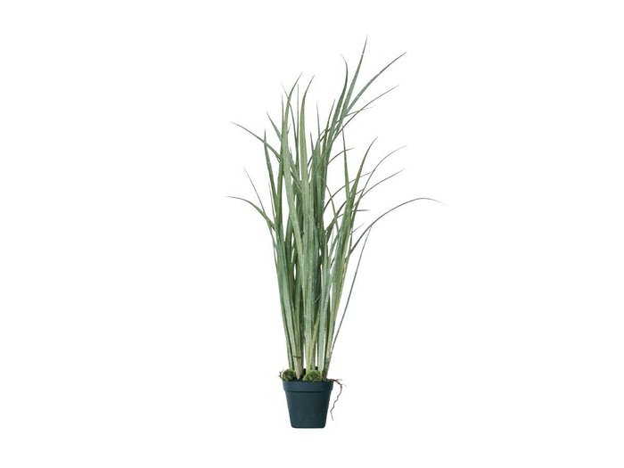 【その他のブランド/Other】のGrass Pot / グラス ポット インテリア・キッズ・メンズ・レディースファッション・服の通販 founy(ファニー) https://founy.com/ おすすめ Recommended / Our Picks グラス Glass, Eyewear ホーム・キャンプ・アウトドア・お取り寄せ Home Living / Home & Lifestyle / Camping Gear / Outdoor Camping 家具・インテリア Home Furniture & Interior. Stylish & Functional Living Spaces その他 インテリア雑貨、家具 Home Decor & Furniture Extras |ID: prp329100004641769 ipo3291000000033475814