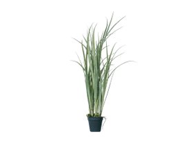 【ブラウン/BROWN / GOODS】 Grass Pot / グラス ポット人気、トレンドファッション・服の通販 founy(ファニー) おすすめ Recommended / Our Picks グラス Glass, Eyewear ホーム・キャンプ・アウトドア・お取り寄せ Home Living / Home & Lifestyle / Camping Gear / Outdoor Camping 家具・インテリア Home Furniture & Interior. Stylish & Functional Living Spaces その他 インテリア雑貨、家具 Home Decor & Furniture Extras |ID:prp329100004641769