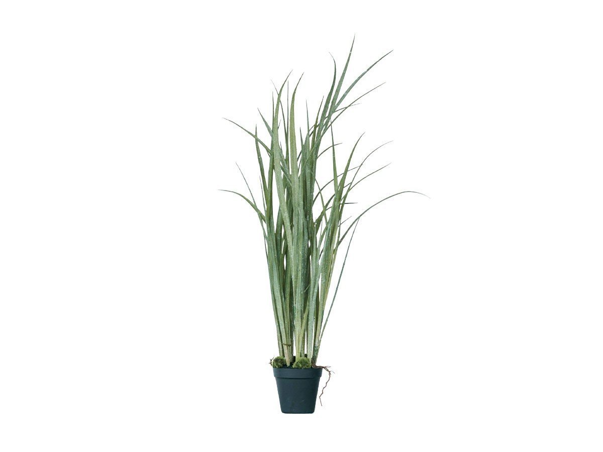【その他のブランド/Other】のGrass Pot / グラス ポット インテリア・キッズ・メンズ・レディースファッション・服の通販 founy(ファニー) 　おすすめ　Recommended / Our Picks　グラス　Glass, Eyewear　ホーム・キャンプ・アウトドア・お取り寄せ　Home Living / Home & Lifestyle / Camping Gear / Outdoor Camping　家具・インテリア　Home Furniture & Interior. Stylish & Functional Living Spaces　その他 インテリア雑貨、家具　Home Decor & Furniture Extras　-|ID: prp329100004641769 ipo3291000000033475815