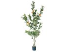 【その他のブランド/Other】のLemon Tree Pot / レモンの木 ポット 183 -|ID: prp329100004641771 ipo3291000000033475822