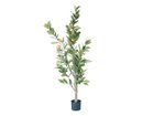 【その他のブランド/Other】のLemon Tree Pot / レモンの木 ポット 152 -|ID: prp329100004641772 ipo3291000000033475826