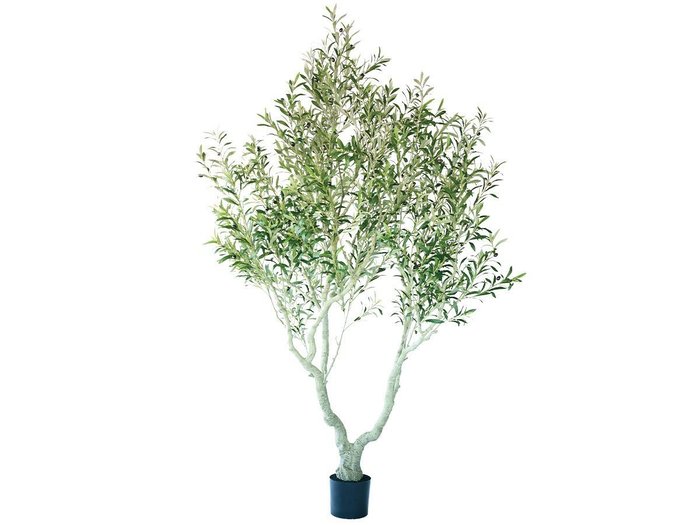 【その他のブランド/Other】のOlive Pot / オリーブ ポット 230 インテリア・キッズ・メンズ・レディースファッション・服の通販 founy(ファニー) https://founy.com/ 送料無料 Free Shipping おすすめ Recommended / Our Picks ホーム・キャンプ・アウトドア・お取り寄せ Home Living / Home & Lifestyle / Camping Gear / Outdoor Camping 家具・インテリア Home Furniture & Interior. Stylish & Functional Living Spaces その他 インテリア雑貨、家具 Home Decor & Furniture Extras |ID: prp329100004641773 ipo3291000000033475831