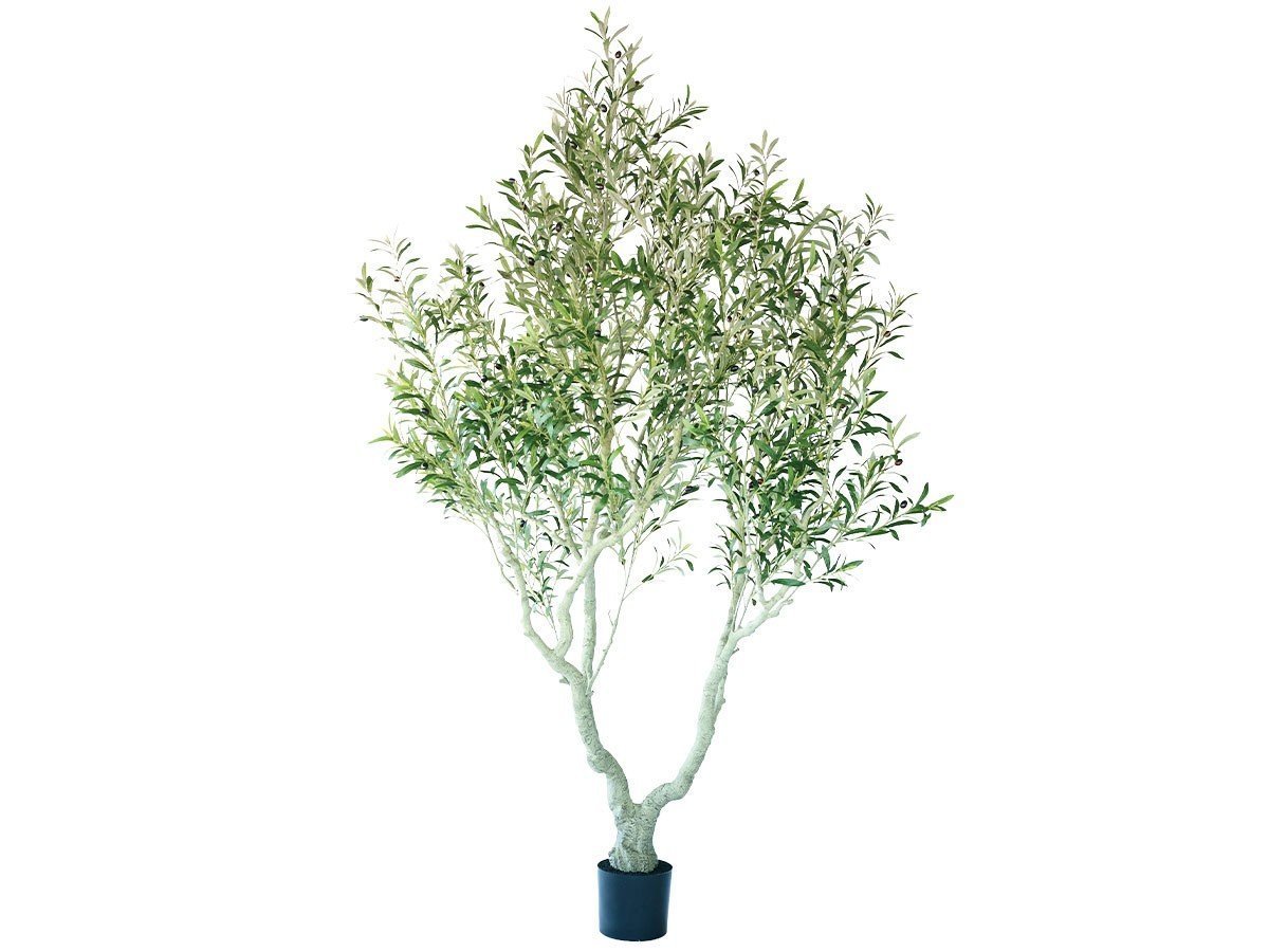 【その他のブランド/Other】のOlive Pot / オリーブ ポット 230 インテリア・キッズ・メンズ・レディースファッション・服の通販 founy(ファニー) 　送料無料　Free Shipping　おすすめ　Recommended / Our Picks　ホーム・キャンプ・アウトドア・お取り寄せ　Home Living / Home & Lifestyle / Camping Gear / Outdoor Camping　家具・インテリア　Home Furniture & Interior. Stylish & Functional Living Spaces　その他 インテリア雑貨、家具　Home Decor & Furniture Extras　-|ID: prp329100004641773 ipo3291000000033475832