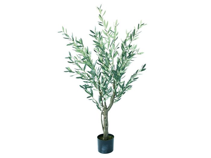 【その他のブランド/Other】のOlive Pot / オリーブ ポット 150 インテリア・キッズ・メンズ・レディースファッション・服の通販 founy(ファニー) https://founy.com/ 送料無料 Free Shipping おすすめ Recommended / Our Picks ホーム・キャンプ・アウトドア・お取り寄せ Home Living / Home & Lifestyle / Camping Gear / Outdoor Camping 家具・インテリア Home Furniture & Interior. Stylish & Functional Living Spaces その他 インテリア雑貨、家具 Home Decor & Furniture Extras |ID: prp329100004641776 ipo3291000000033475838