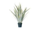【その他のブランド/Other】のBoston Fern Pot Silver / ボストンファーン ポット シルバー -|ID: prp329100004641777 ipo3291000000033475844
