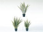 【その他のブランド/Other】のBoston Fern Pot Silver / ボストンファーン ポット シルバー 上:本商品、左下:同シリーズの「ボストンファーン ポット グリーン」、右下:掲載外|ID: prp329100004641777 ipo3291000000033475846