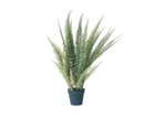 【その他のブランド/Other】のBoston Fern Pot Green / ボストンファーン ポット グリーン -|ID: prp329100004641778 ipo3291000000033475850