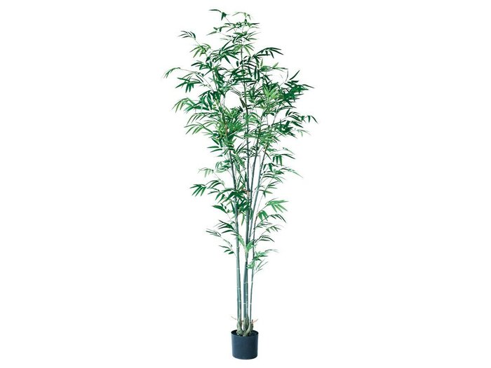 【その他のブランド/Other】のBamboo Pot / バンブー ポット 180 インテリア・キッズ・メンズ・レディースファッション・服の通販 founy(ファニー) https://founy.com/ 送料無料 Free Shipping おすすめ Recommended / Our Picks バンブー Bamboo, Bamboo Material ホーム・キャンプ・アウトドア・お取り寄せ Home Living / Home & Lifestyle / Camping Gear / Outdoor Camping 家具・インテリア Home Furniture & Interior. Stylish & Functional Living Spaces その他 インテリア雑貨、家具 Home Decor & Furniture Extras |ID: prp329100004641779 ipo3291000000033475853