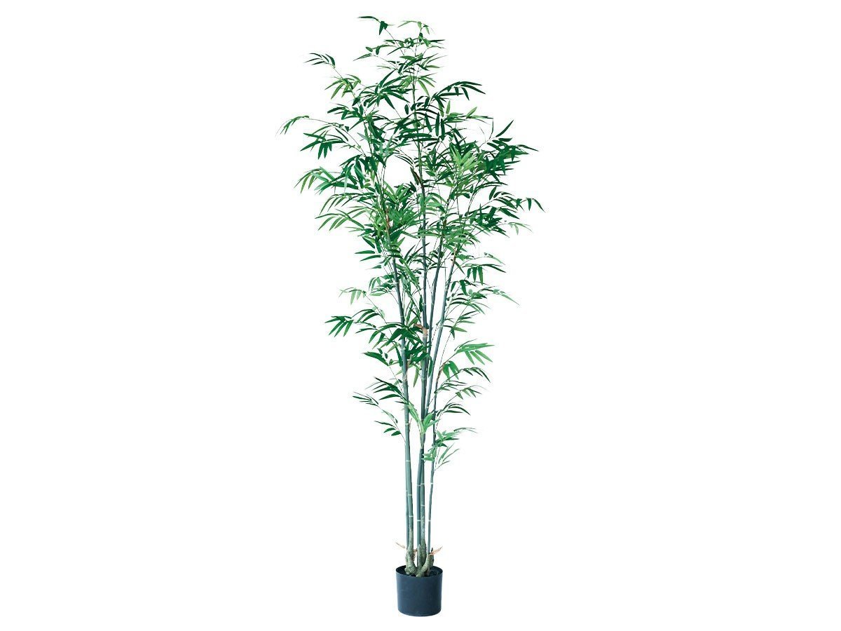 【その他のブランド/Other】のBamboo Pot / バンブー ポット 180 インテリア・キッズ・メンズ・レディースファッション・服の通販 founy(ファニー) 　送料無料　Free Shipping　おすすめ　Recommended / Our Picks　バンブー　Bamboo, Bamboo Material　ホーム・キャンプ・アウトドア・お取り寄せ　Home Living / Home & Lifestyle / Camping Gear / Outdoor Camping　家具・インテリア　Home Furniture & Interior. Stylish & Functional Living Spaces　その他 インテリア雑貨、家具　Home Decor & Furniture Extras　-|ID: prp329100004641779 ipo3291000000033475854