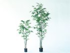 【その他のブランド/Other】のBamboo Pot / バンブー ポット 180 サイズ展開がありますので、鉢や設置場所、空間に合わせてお選びいただけます。左:高さ1|ID: prp329100004641779 ipo3291000000033475855