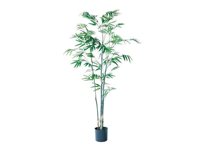 【その他のブランド/Other】のBamboo Pot / バンブー ポット 120 インテリア・キッズ・メンズ・レディースファッション・服の通販 founy(ファニー) https://founy.com/ おすすめ Recommended / Our Picks バンブー Bamboo, Bamboo Material ホーム・キャンプ・アウトドア・お取り寄せ Home Living / Home & Lifestyle / Camping Gear / Outdoor Camping 家具・インテリア Home Furniture & Interior. Stylish & Functional Living Spaces その他 インテリア雑貨、家具 Home Decor & Furniture Extras |ID: prp329100004641780 ipo3291000000033475856