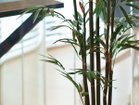 【その他のブランド/Other】のBamboo Pot / バンブー ポット 120 参考イメージ|ID: prp329100004641780 ipo3291000000033475862