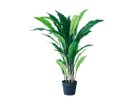 【その他のブランド/Other】のAsplenium Pot / アスプレニウム ポット 90 -|ID: prp329100004641781 ipo3291000000033475866