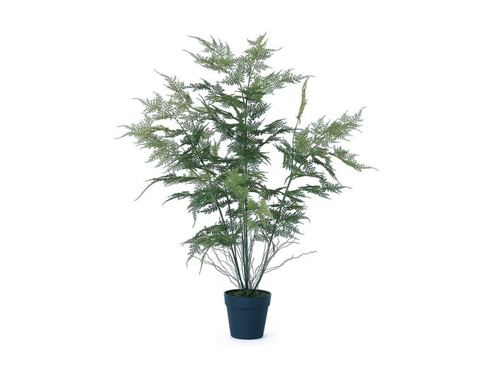 【その他のブランド/Other】のAsparagus Pot / アスパラガス ポット 90 インテリア・キッズ・メンズ・レディースファッション・服の通販 founy(ファニー) https://founy.com/ おすすめ Recommended / Our Picks ホーム・キャンプ・アウトドア・お取り寄せ Home Living / Home & Lifestyle / Camping Gear / Outdoor Camping 家具・インテリア Home Furniture & Interior. Stylish & Functional Living Spaces その他 インテリア雑貨、家具 Home Decor & Furniture Extras |ID: prp329100004641782 ipo3291000000033475868