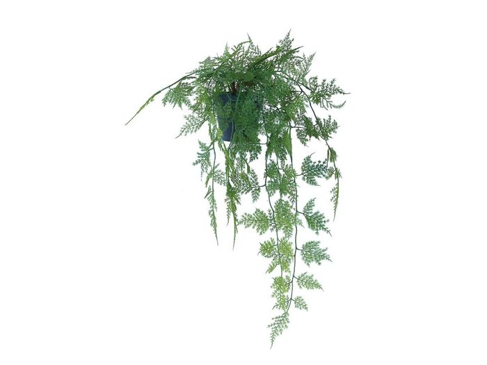 【その他のブランド/Other】のAsparagus Pot / アスパラガス ポット 63 インテリア・キッズ・メンズ・レディースファッション・服の通販 founy(ファニー) https://founy.com/ おすすめ Recommended / Our Picks ホーム・キャンプ・アウトドア・お取り寄せ Home Living / Home & Lifestyle / Camping Gear / Outdoor Camping 家具・インテリア Home Furniture & Interior. Stylish & Functional Living Spaces その他 インテリア雑貨、家具 Home Decor & Furniture Extras |ID: prp329100004641783 ipo3291000000033475870