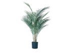 【その他のブランド/Other】のAreca Palm Pot / アレカヤシ ポット 90 -|ID: prp329100004641784 ipo3291000000033475873
