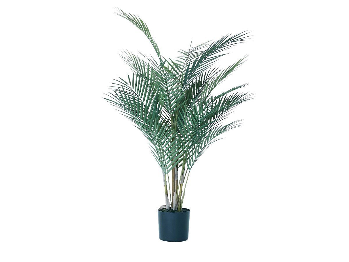 【その他のブランド/Other】のAreca Palm Pot / アレカヤシ ポット 90 インテリア・キッズ・メンズ・レディースファッション・服の通販 founy(ファニー) 　おすすめ　Recommended / Our Picks　ホーム・キャンプ・アウトドア・お取り寄せ　Home Living / Home & Lifestyle / Camping Gear / Outdoor Camping　家具・インテリア　Home Furniture & Interior. Stylish & Functional Living Spaces　その他 インテリア雑貨、家具　Home Decor & Furniture Extras　-|ID: prp329100004641784 ipo3291000000033475873