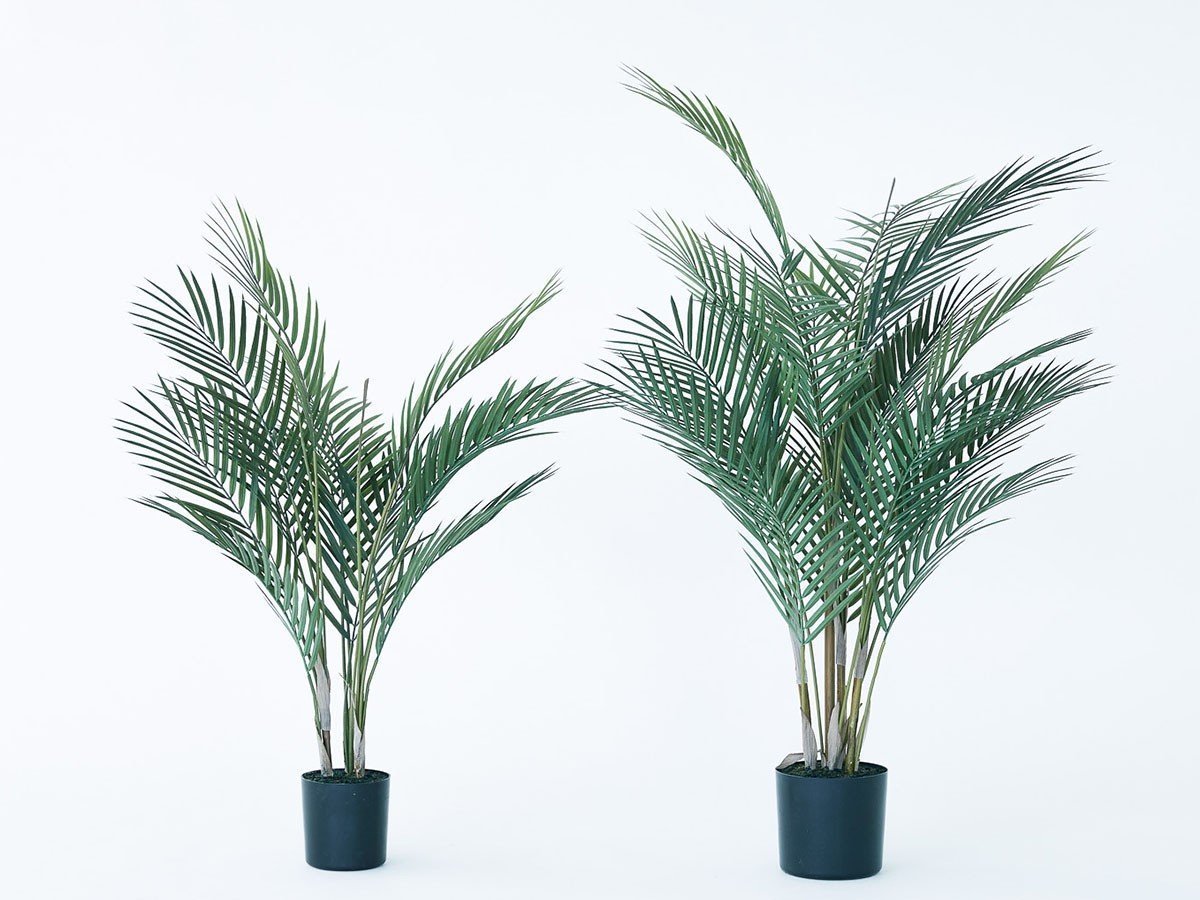 【その他のブランド/Other】のAreca Palm Pot / アレカヤシ ポット 90 インテリア・キッズ・メンズ・レディースファッション・服の通販 founy(ファニー) 　おすすめ　Recommended / Our Picks　ホーム・キャンプ・アウトドア・お取り寄せ　Home Living / Home & Lifestyle / Camping Gear / Outdoor Camping　家具・インテリア　Home Furniture & Interior. Stylish & Functional Living Spaces　その他 インテリア雑貨、家具　Home Decor & Furniture Extras　サイズ展開がありますので、鉢や設置場所、空間に合わせてお選びいただけます。左:高さ7|ID: prp329100004641784 ipo3291000000033475874