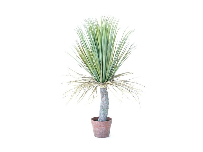【その他のブランド/Other】のYucca Pot / ユッカ ポット 85 インテリア・キッズ・メンズ・レディースファッション・服の通販 founy(ファニー) https://founy.com/ 送料無料 Free Shipping おすすめ Recommended / Our Picks ホーム・キャンプ・アウトドア・お取り寄せ Home Living / Home & Lifestyle / Camping Gear / Outdoor Camping 家具・インテリア Home Furniture & Interior. Stylish & Functional Living Spaces その他 インテリア雑貨、家具 Home Decor & Furniture Extras |ID: prp329100004641791 ipo3291000000033475906