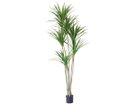 【その他のブランド/Other】のYucca Pot / ユッカ ポット 210 -|ID: prp329100004641792 ipo3291000000033475910