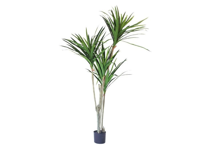 【その他のブランド/Other】のYucca Pot / ユッカ ポット 160 インテリア・キッズ・メンズ・レディースファッション・服の通販 founy(ファニー) https://founy.com/ 送料無料 Free Shipping おすすめ Recommended / Our Picks ホーム・キャンプ・アウトドア・お取り寄せ Home Living / Home & Lifestyle / Camping Gear / Outdoor Camping 家具・インテリア Home Furniture & Interior. Stylish & Functional Living Spaces その他 インテリア雑貨、家具 Home Decor & Furniture Extras |ID: prp329100004641793 ipo3291000000033475912