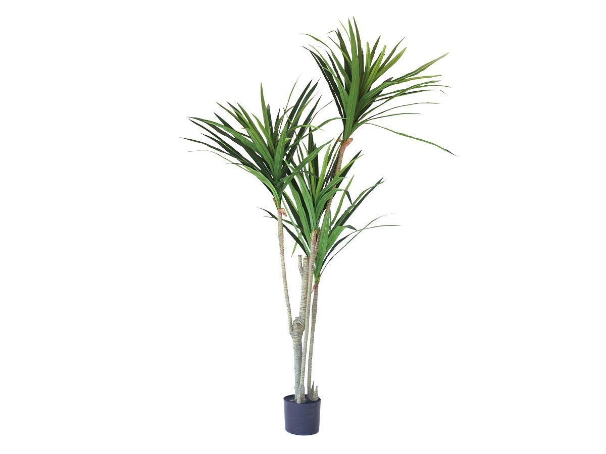【その他のブランド/Other】のYucca Pot / ユッカ ポット 160 人気、トレンドファッション・服の通販 founy(ファニー) 　送料無料　Free Shipping　おすすめ　Recommended / Our Picks　ホーム・キャンプ・アウトドア・お取り寄せ　Home Living / Home & Lifestyle / Camping Gear / Outdoor Camping　家具・インテリア　Home Furniture & Interior. Stylish & Functional Living Spaces　その他 インテリア雑貨、家具　Home Decor & Furniture Extras　 other-1|ID: prp329100004641793 ipo3291000000033475912