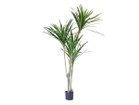 【その他のブランド/Other】のYucca Pot / ユッカ ポット 160 -|ID: prp329100004641793 ipo3291000000033475913