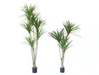 【その他のブランド/Other】のYucca Pot / ユッカ ポット 160 サイズ展開がありますので、鉢や設置場所、空間に合わせてお選びいただけます。左:高さ2|ID: prp329100004641793 ipo3291000000033475914
