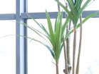 【その他のブランド/Other】のYucca Pot / ユッカ ポット 160 参考イメージ|ID: prp329100004641793 ipo3291000000033475921