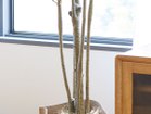 【その他のブランド/Other】のYucca Pot / ユッカ ポット 160 参考イメージ|ID: prp329100004641793 ipo3291000000033475923