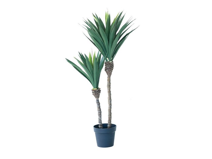 【その他のブランド/Other】のYucca Pot / ユッカ ポット 115 インテリア・キッズ・メンズ・レディースファッション・服の通販 founy(ファニー) https://founy.com/ 送料無料 Free Shipping おすすめ Recommended / Our Picks ホーム・キャンプ・アウトドア・お取り寄せ Home Living / Home & Lifestyle / Camping Gear / Outdoor Camping 家具・インテリア Home Furniture & Interior. Stylish & Functional Living Spaces その他 インテリア雑貨、家具 Home Decor & Furniture Extras |ID: prp329100004641794 ipo3291000000033475924
