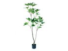 【その他のブランド/Other】のTupidanthus Pot / ツピタンサス ポット 150 -|ID: prp329100004641796 ipo3291000000033475931