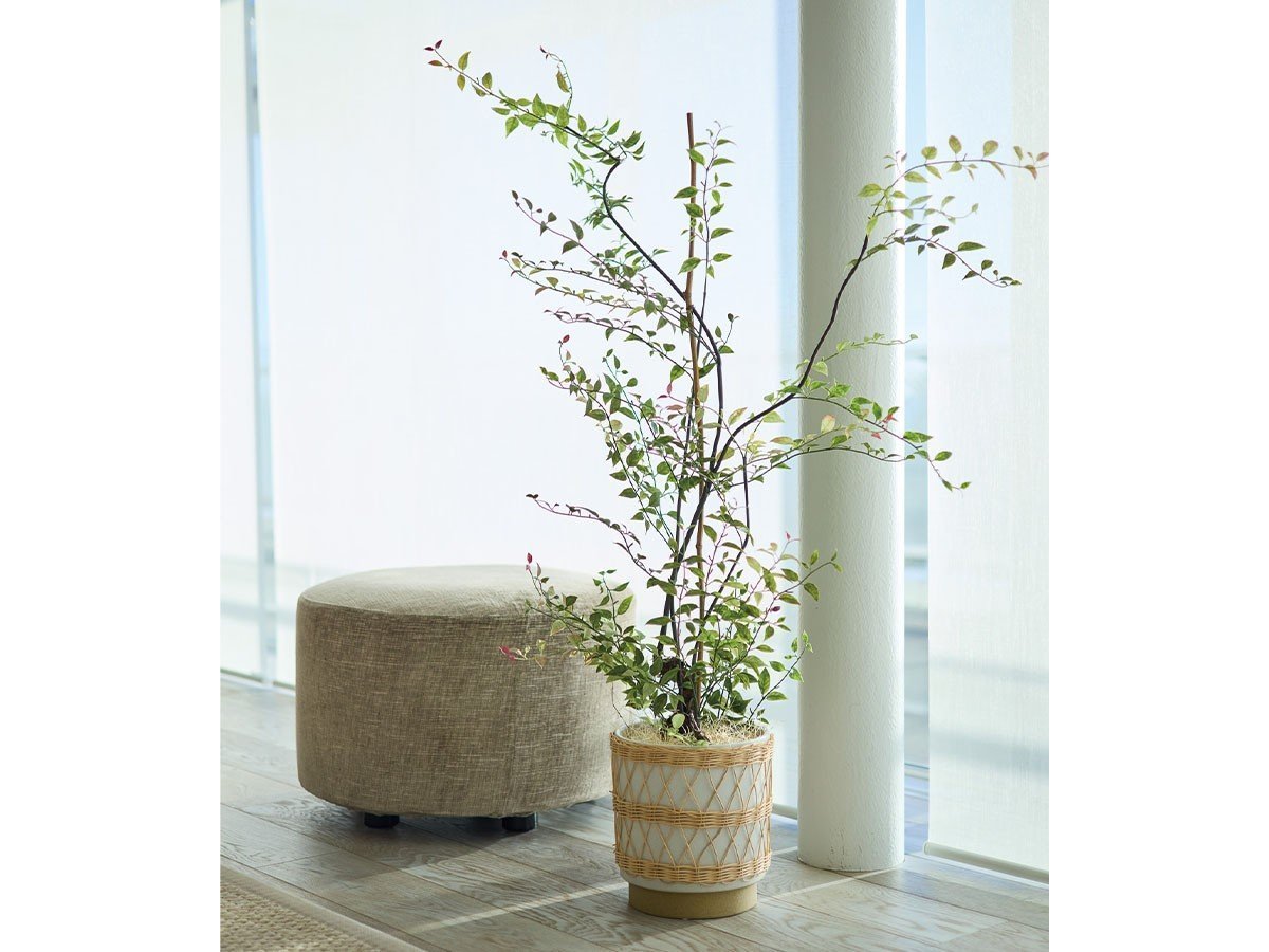 【その他のブランド/Other】のRiberry Pot / ライベリー ポット 105 インテリア・キッズ・メンズ・レディースファッション・服の通販 founy(ファニー) 　おすすめ　Recommended / Our Picks　ホーム・キャンプ・アウトドア・お取り寄せ　Home Living / Home & Lifestyle / Camping Gear / Outdoor Camping　家具・インテリア　Home Furniture & Interior. Stylish & Functional Living Spaces　その他 インテリア雑貨、家具　Home Decor & Furniture Extras　参考イメージ|ID: prp329100004641805 ipo3291000000033475971