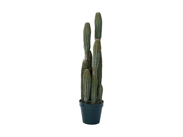 【その他のブランド/Other】のColumn Cactus Pot / 柱サボテン ポット 91 インテリア・キッズ・メンズ・レディースファッション・服の通販 founy(ファニー) https://founy.com/ 送料無料 Free Shipping おすすめ Recommended / Our Picks ホーム・キャンプ・アウトドア・お取り寄せ Home Living / Home & Lifestyle / Camping Gear / Outdoor Camping 家具・インテリア Home Furniture & Interior. Stylish & Functional Living Spaces その他 インテリア雑貨、家具 Home Decor & Furniture Extras |ID: prp329100004641807 ipo3291000000033475977