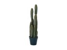 【その他のブランド/Other】のColumn Cactus Pot / 柱サボテン ポット 91 -|ID: prp329100004641807 ipo3291000000033475978