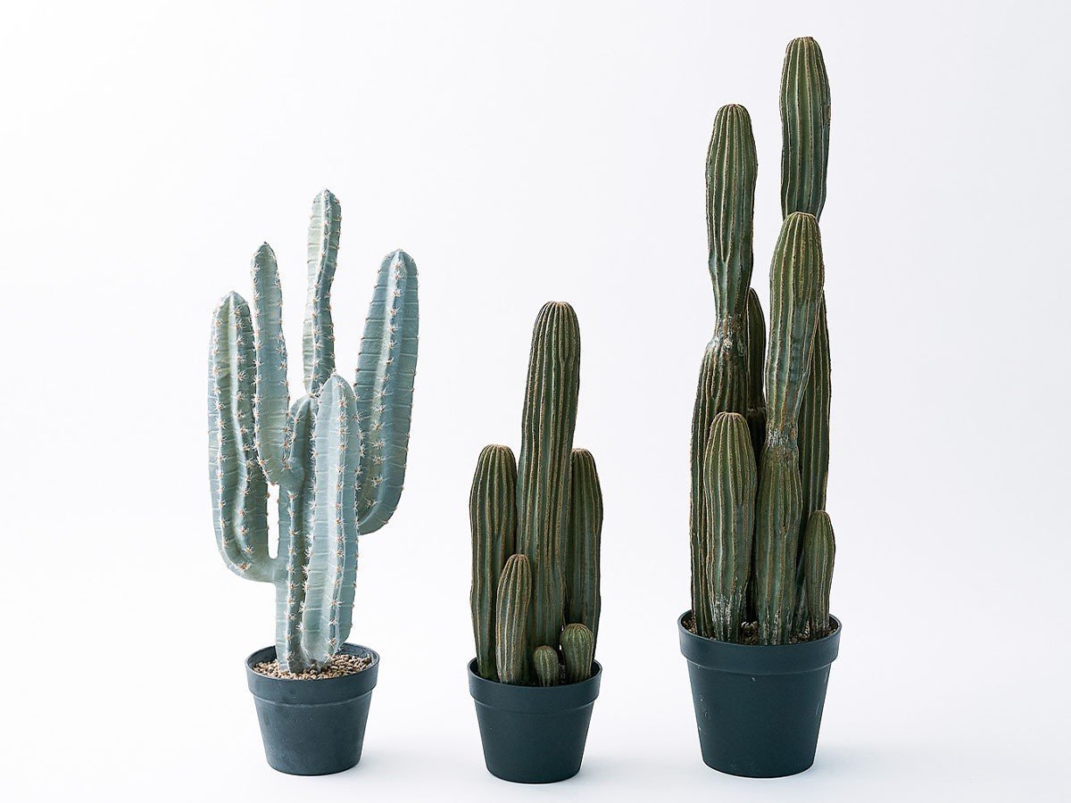 【その他のブランド/Other】のColumn Cactus Pot / 柱サボテン ポット 91 インテリア・キッズ・メンズ・レディースファッション・服の通販 founy(ファニー) 　送料無料　Free Shipping　おすすめ　Recommended / Our Picks　ホーム・キャンプ・アウトドア・お取り寄せ　Home Living / Home & Lifestyle / Camping Gear / Outdoor Camping　家具・インテリア　Home Furniture & Interior. Stylish & Functional Living Spaces　その他 インテリア雑貨、家具　Home Decor & Furniture Extras　左から:柱サボテン ポット 76、柱サボテン ポット 63、本商品|ID: prp329100004641807 ipo3291000000033475980
