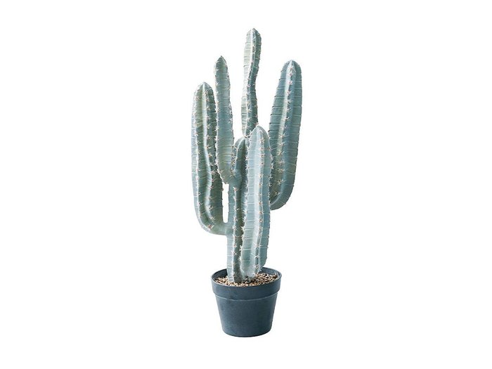 【その他のブランド/Other】のColumn Cactus Pot / 柱サボテン ポット 76 インテリア・キッズ・メンズ・レディースファッション・服の通販 founy(ファニー) https://founy.com/ 送料無料 Free Shipping おすすめ Recommended / Our Picks ホーム・キャンプ・アウトドア・お取り寄せ Home Living / Home & Lifestyle / Camping Gear / Outdoor Camping 家具・インテリア Home Furniture & Interior. Stylish & Functional Living Spaces その他 インテリア雑貨、家具 Home Decor & Furniture Extras |ID: prp329100004641808 ipo3291000000033475982