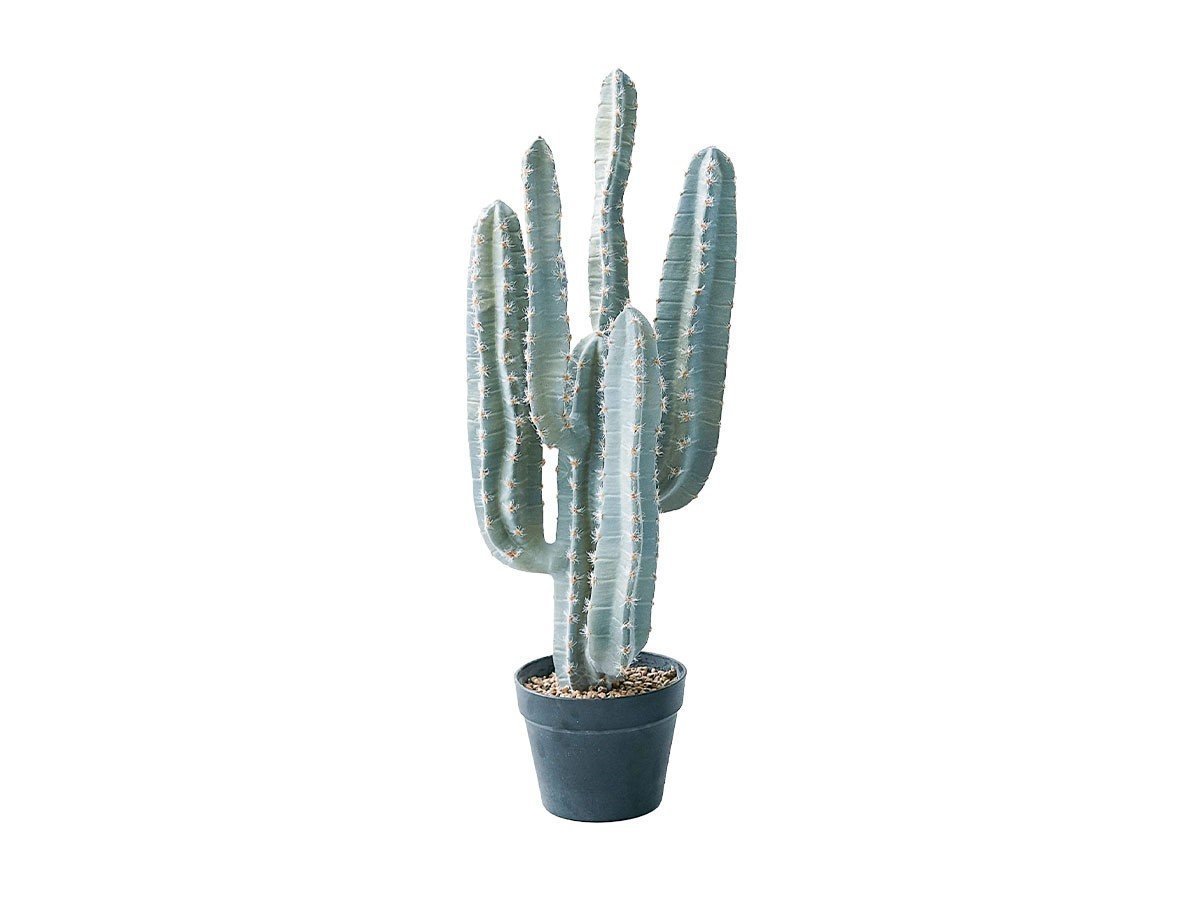 【その他のブランド/Other】のColumn Cactus Pot / 柱サボテン ポット 76 インテリア・キッズ・メンズ・レディースファッション・服の通販 founy(ファニー) 　送料無料　Free Shipping　おすすめ　Recommended / Our Picks　ホーム・キャンプ・アウトドア・お取り寄せ　Home Living / Home & Lifestyle / Camping Gear / Outdoor Camping　家具・インテリア　Home Furniture & Interior. Stylish & Functional Living Spaces　その他 インテリア雑貨、家具　Home Decor & Furniture Extras　-|ID: prp329100004641808 ipo3291000000033475984