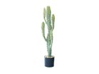 【その他のブランド/Other】のColumn Cactus Pot / 柱サボテン ポット 71 -|ID: prp329100004641809 ipo3291000000033475990