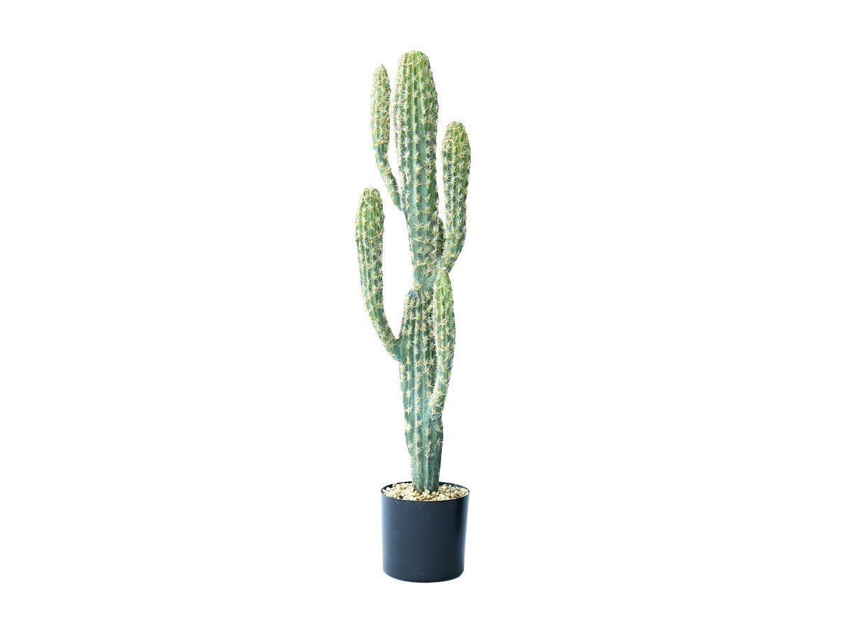 【その他のブランド/Other】のColumn Cactus Pot / 柱サボテン ポット 71 インテリア・キッズ・メンズ・レディースファッション・服の通販 founy(ファニー) 　おすすめ　Recommended / Our Picks　ホーム・キャンプ・アウトドア・お取り寄せ　Home Living / Home & Lifestyle / Camping Gear / Outdoor Camping　家具・インテリア　Home Furniture & Interior. Stylish & Functional Living Spaces　その他 インテリア雑貨、家具　Home Decor & Furniture Extras　-|ID: prp329100004641809 ipo3291000000033475990