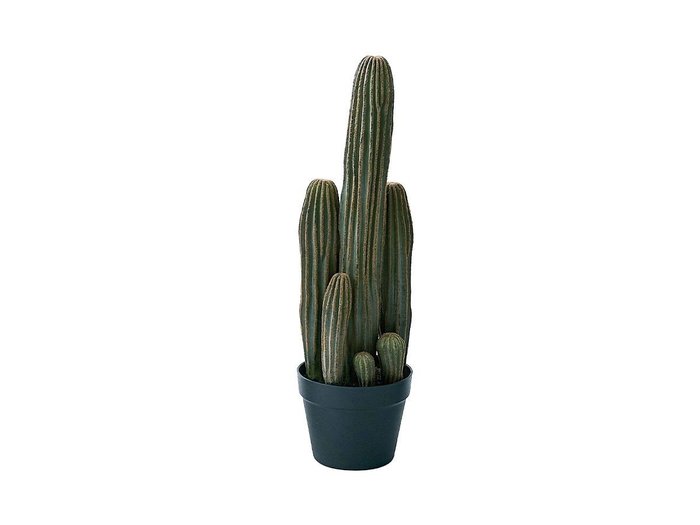 【その他のブランド/Other】のColumn Cactus Pot / 柱サボテン ポット 63 インテリア・キッズ・メンズ・レディースファッション・服の通販 founy(ファニー) https://founy.com/ おすすめ Recommended / Our Picks ホーム・キャンプ・アウトドア・お取り寄せ Home Living / Home & Lifestyle / Camping Gear / Outdoor Camping 家具・インテリア Home Furniture & Interior. Stylish & Functional Living Spaces その他 インテリア雑貨、家具 Home Decor & Furniture Extras |ID: prp329100004641810 ipo3291000000033475992