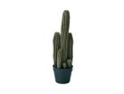 【その他のブランド/Other】のColumn Cactus Pot / 柱サボテン ポット 63 -|ID: prp329100004641810 ipo3291000000033475993