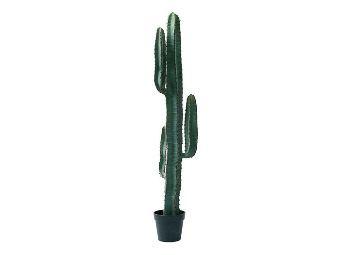 【その他のブランド/Other】のColumn Cactus Pot / 柱サボテン ポット 147 インテリア・キッズ・メンズ・レディースファッション・服の通販 founy(ファニー) https://founy.com/ 送料無料 Free Shipping おすすめ Recommended / Our Picks ホーム・キャンプ・アウトドア・お取り寄せ Home Living / Home & Lifestyle / Camping Gear / Outdoor Camping 家具・インテリア Home Furniture & Interior. Stylish & Functional Living Spaces その他 インテリア雑貨、家具 Home Decor & Furniture Extras |ID: prp329100004641811 ipo3291000000033475996