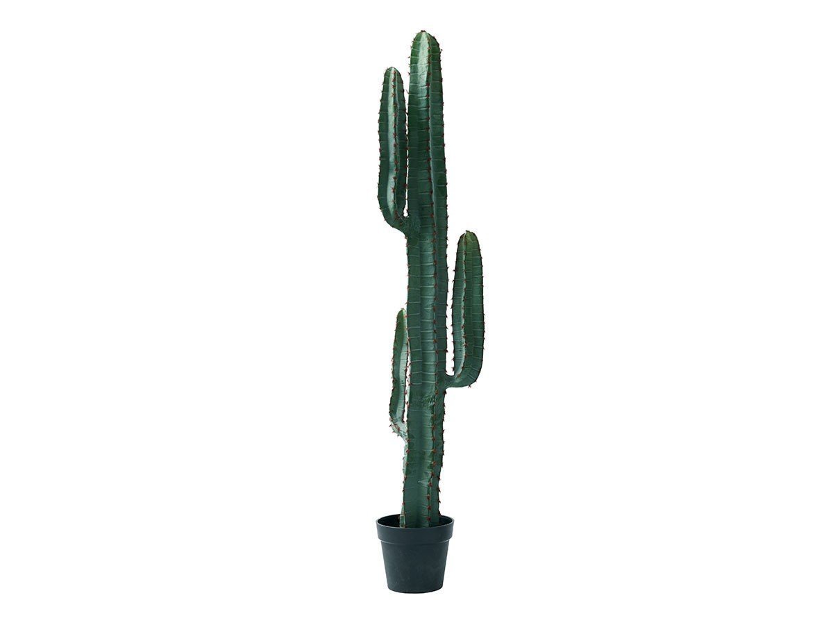 【ブラウン/BROWN / GOODS】のColumn Cactus Pot / 柱サボテン ポット 147 人気、トレンドファッション・服の通販 founy(ファニー) 　送料無料　Free Shipping　おすすめ　Recommended / Our Picks　ホーム・キャンプ・アウトドア・お取り寄せ　Home Living / Home & Lifestyle / Camping Gear / Outdoor Camping　家具・インテリア　Home Furniture & Interior. Stylish & Functional Living Spaces　その他 インテリア雑貨、家具　Home Decor & Furniture Extras　 other-1|ID: prp329100004641811 ipo3291000000033475996