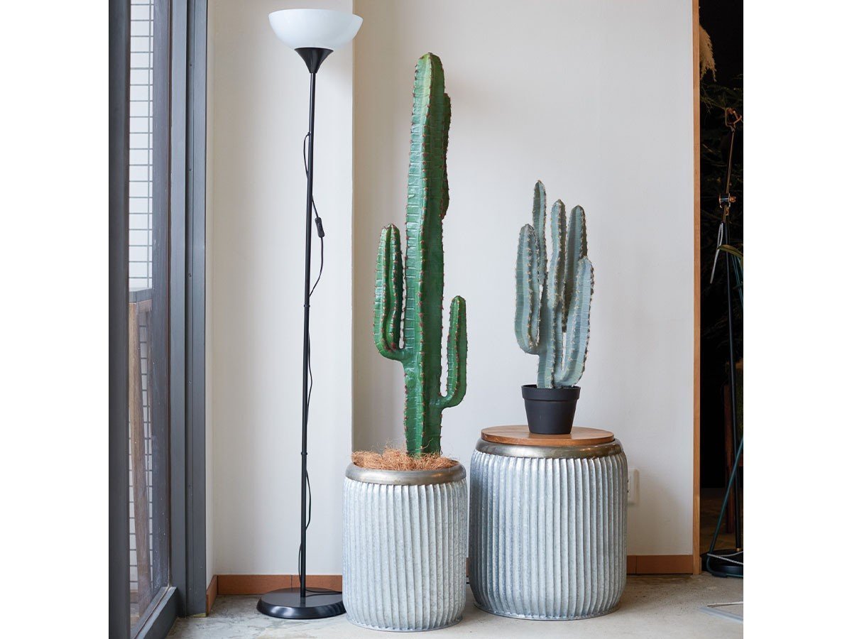 【ブラウン/BROWN / GOODS】のColumn Cactus Pot / 柱サボテン ポット 147 インテリア・キッズ・メンズ・レディースファッション・服の通販 founy(ファニー) 　送料無料　Free Shipping　おすすめ　Recommended / Our Picks　ホーム・キャンプ・アウトドア・お取り寄せ　Home Living / Home & Lifestyle / Camping Gear / Outdoor Camping　家具・インテリア　Home Furniture & Interior. Stylish & Functional Living Spaces　その他 インテリア雑貨、家具　Home Decor & Furniture Extras　左:本商品、右:柱サボテン ポット 76|ID: prp329100004641811 ipo3291000000033475998